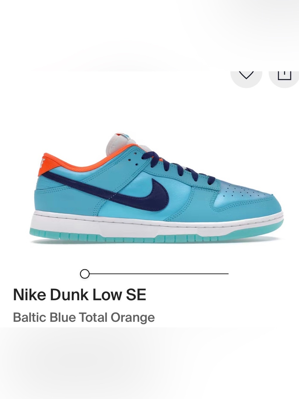 Nike Dunk Low SE